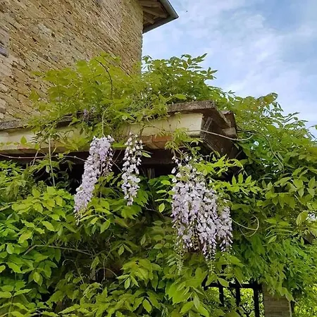 Antico Casale Del 700 Domus Naturae Apartment